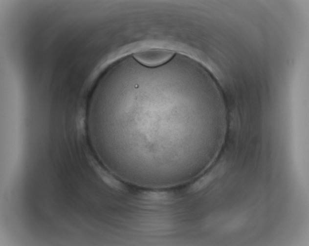 X0000113921499200909241519