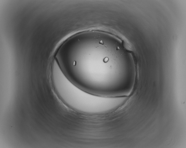 X0000113921500200909241519