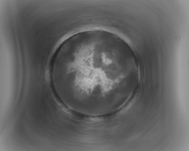 X0000113921501200909241519