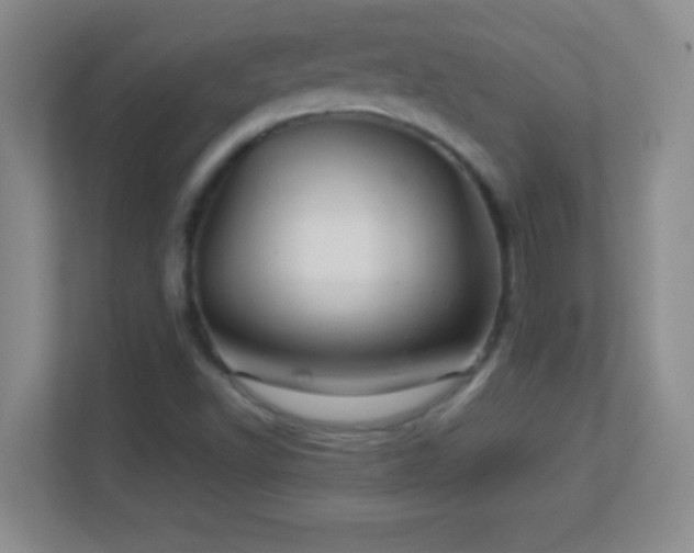 X0000113921502200909241519