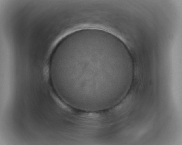 X0000113921503200909241519