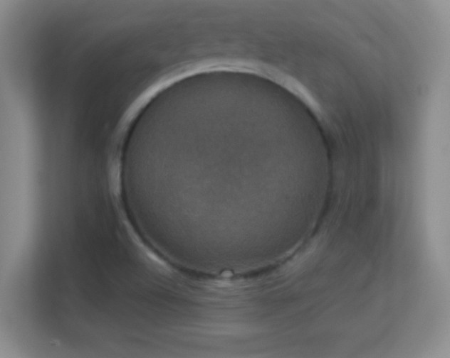 X0000113921504200909241519