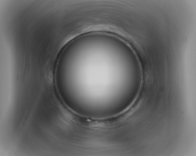 X0000113921505200909241519