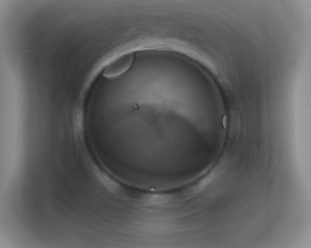 X0000113921506200909241519