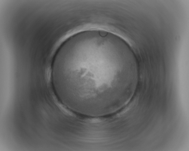 X0000113921507200909241519