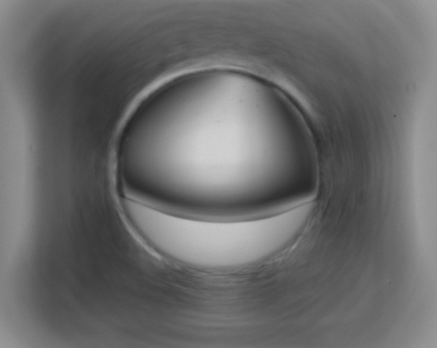 X0000113921508200909241519