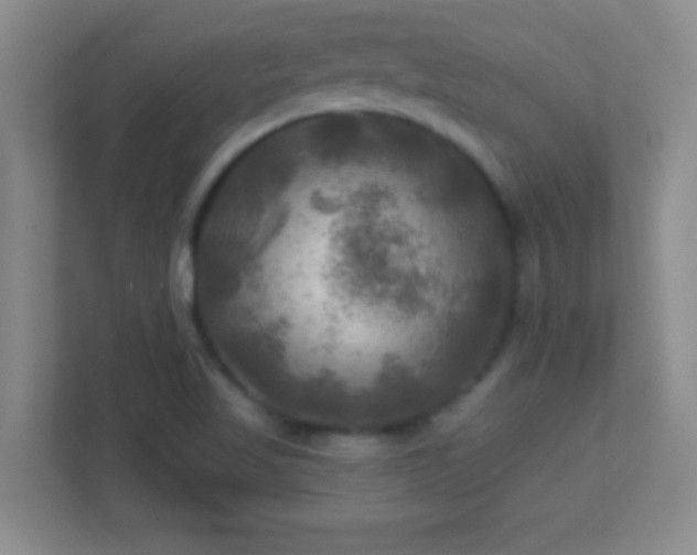 X0000113921509200909241519