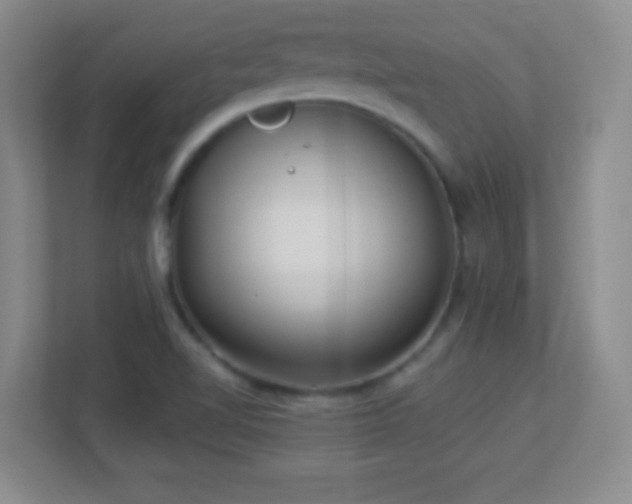 X0000113921510200909241519