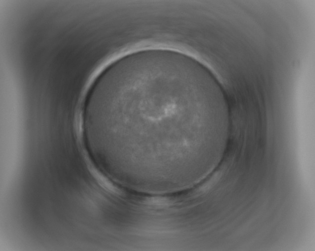 X0000113921511200909241519