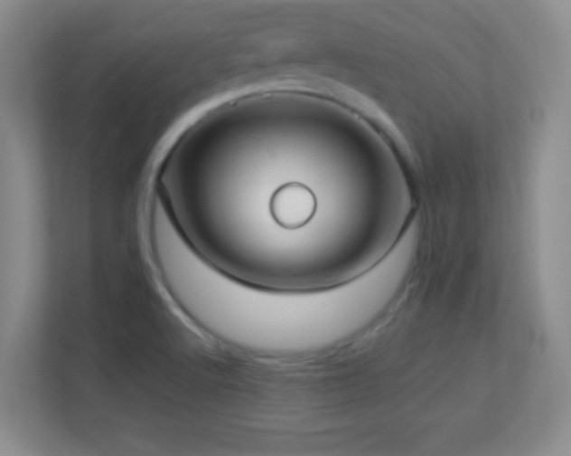 X0000113921512200909241519