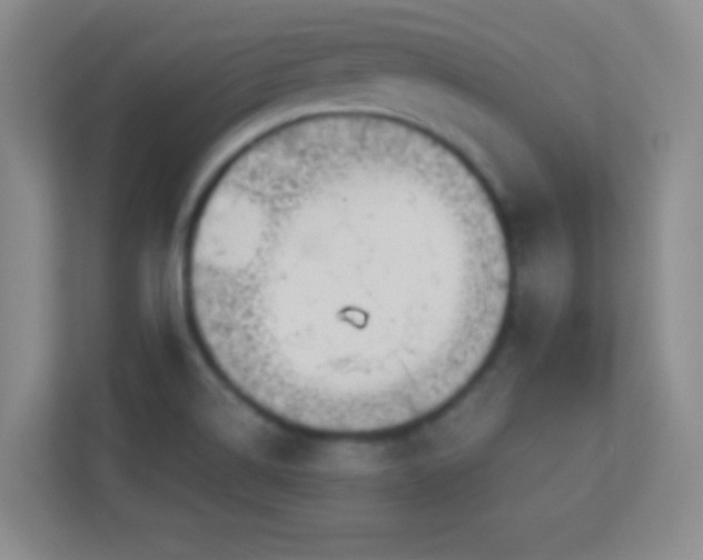 X0000113921514200909241519