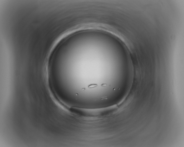 X0000113921515200909241519