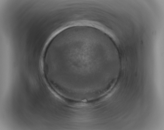 X0000113921517200909241519