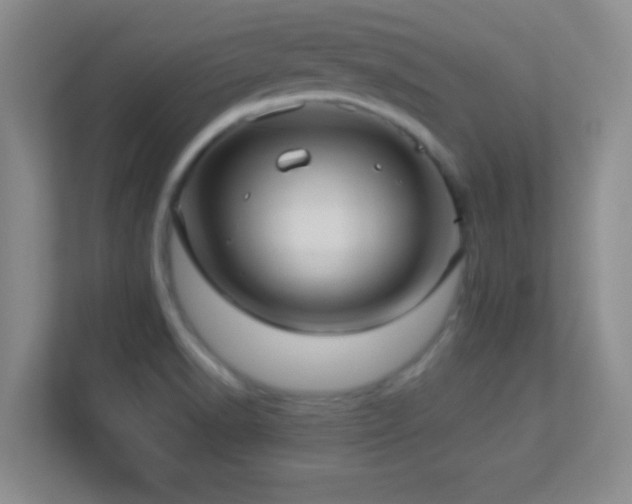 X0000113921518200909241519