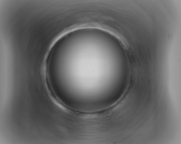 X0000113921519200909241519