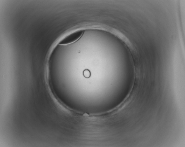 X0000113921520200909241519