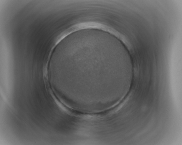 X0000113921521200909241519