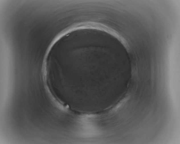 X0000113921522200909241519