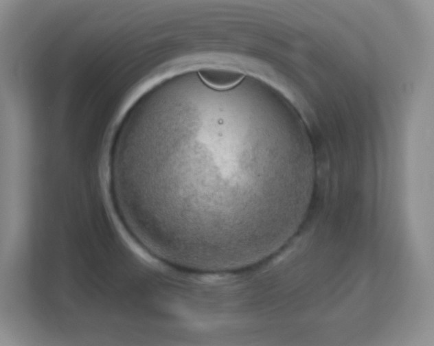 X0000113921523200909241519