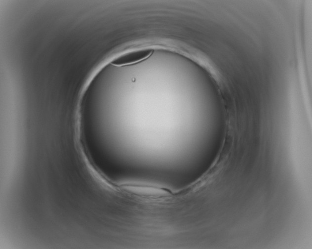 X0000113921524200909241519