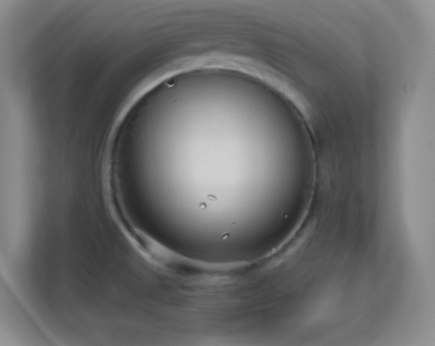 X0000113921525200909241519