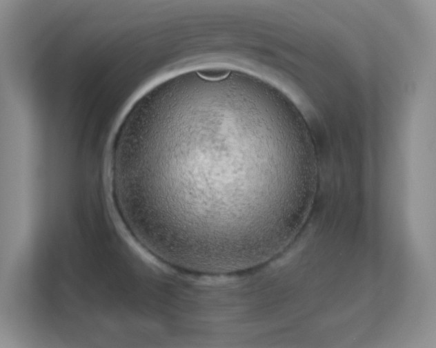 X0000113921526200909241519