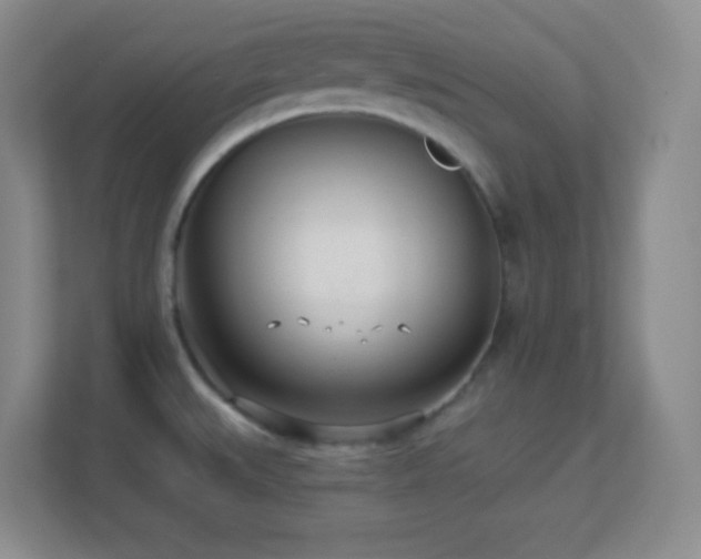 X0000113921527200909241519