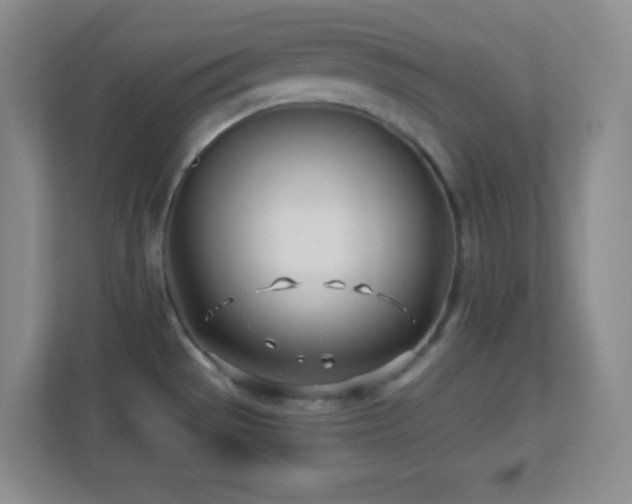 X0000113921529200909241519