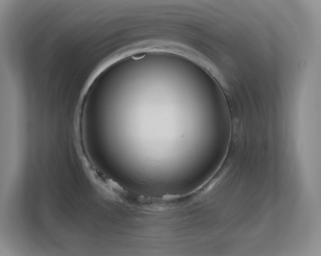 X0000113921530200909241519