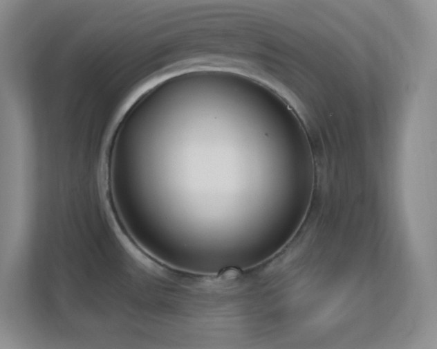 X0000113921531200909241519