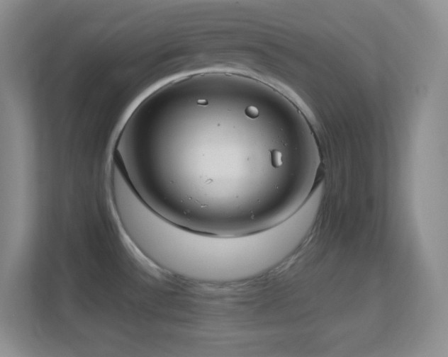 X0000113921532200909241519