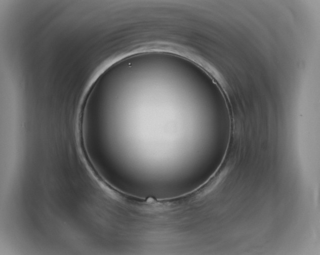 X0000113921533200909241519