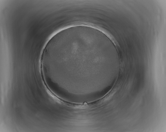 X0000113921535200909241519