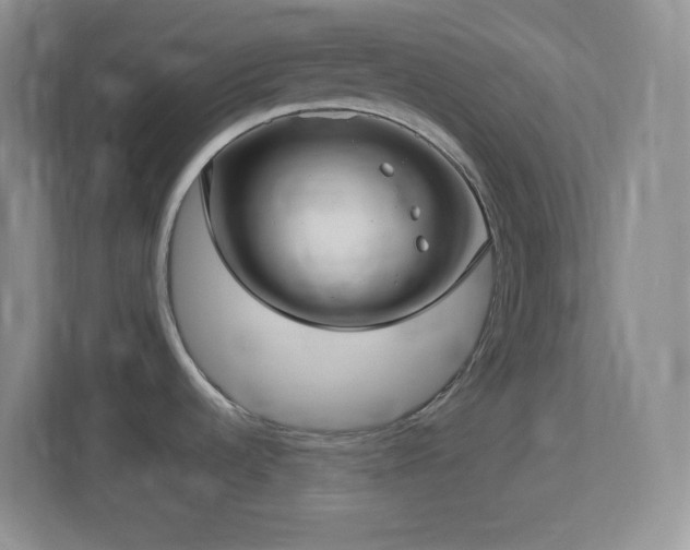 X0000113921536200909241519