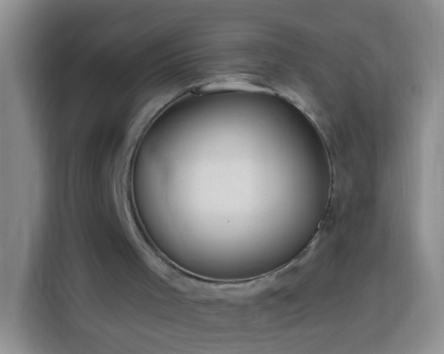 X0000113920001200910011521