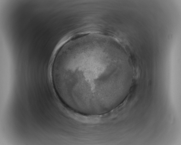 X0000113920004200910011521