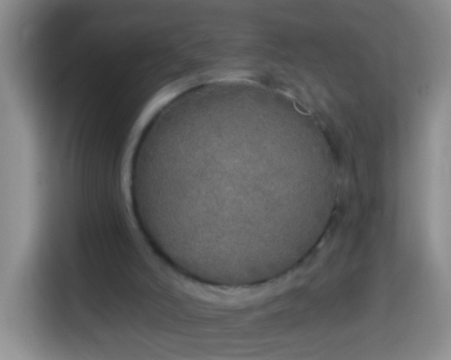 X0000113920006200910011521