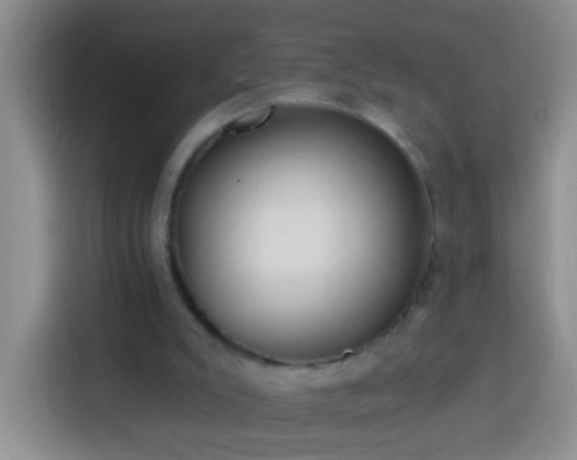X0000113920007200910011521