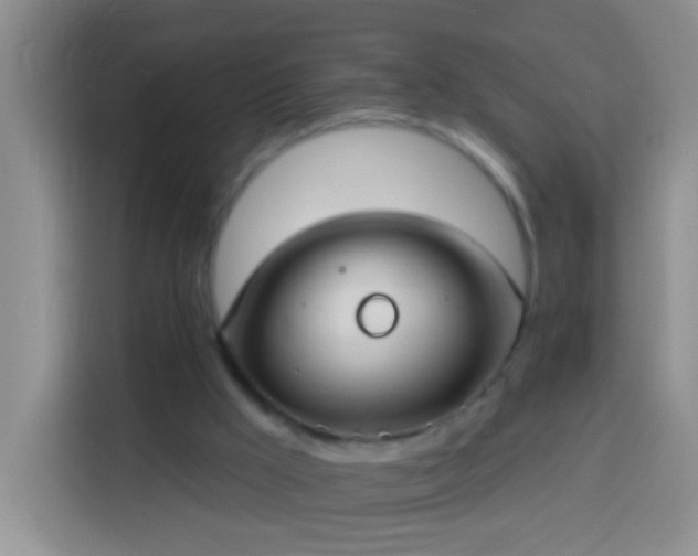 X0000113920009200910011521