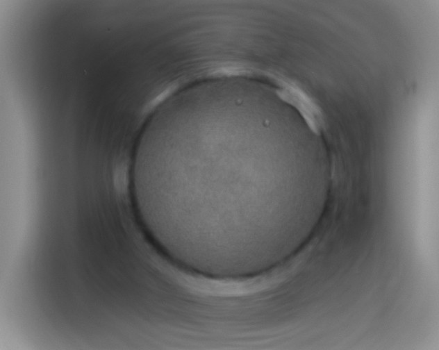 X0000113920010200910011521