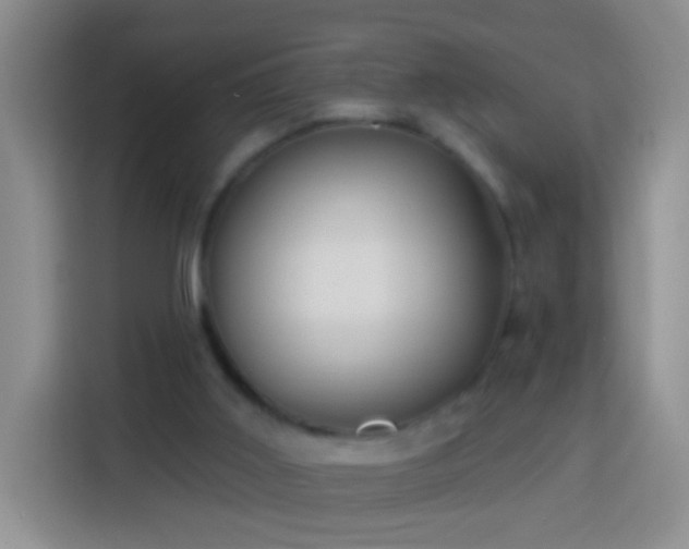 X0000113920011200910011521