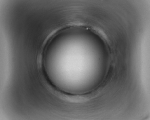 X0000113920012200910011521