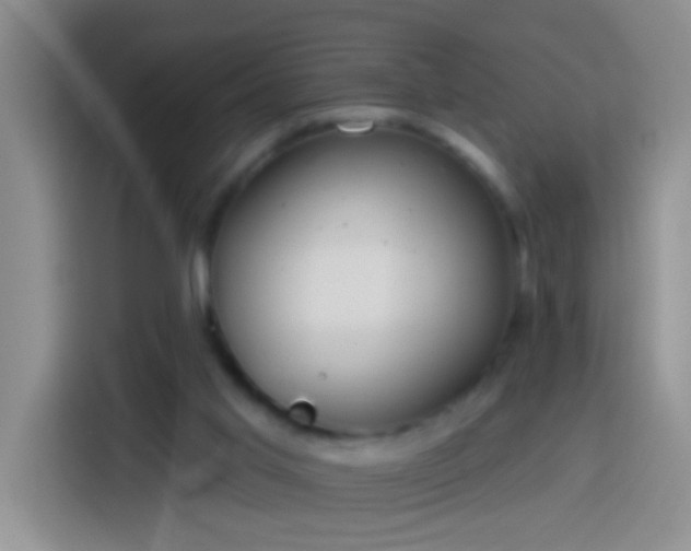 X0000113920013200910011521