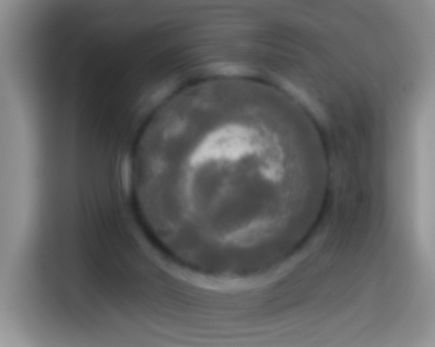 X0000113920014200910011521