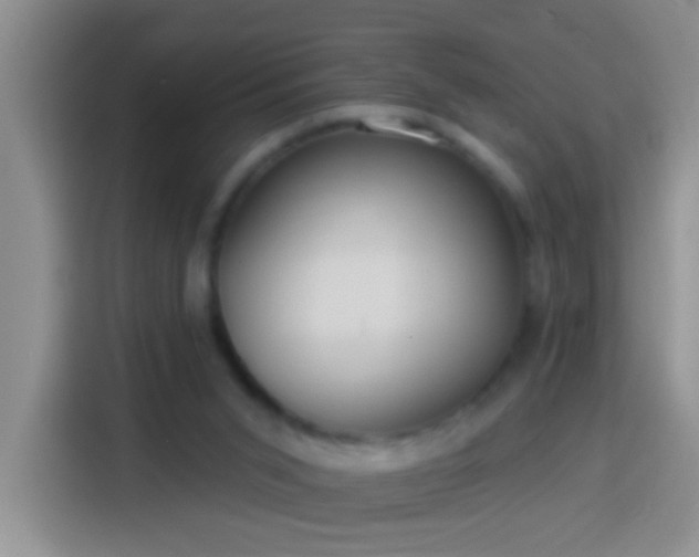 X0000113920015200910011521
