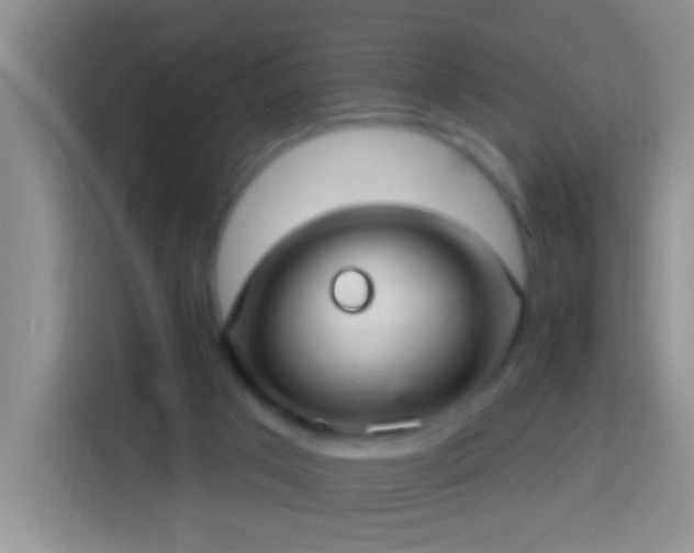 X0000113920017200910011521