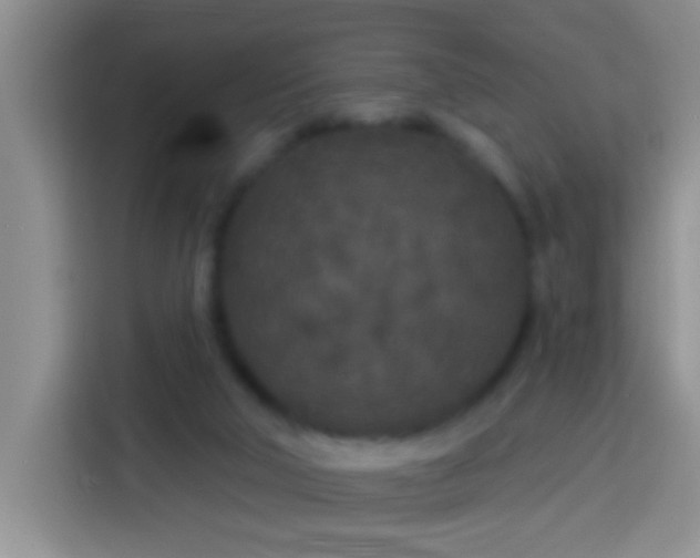 X0000113920018200910011521