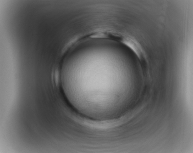X0000113920019200910011521