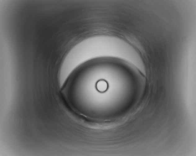 X0000113920021200910011521