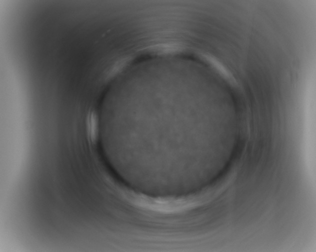 X0000113920022200910011521